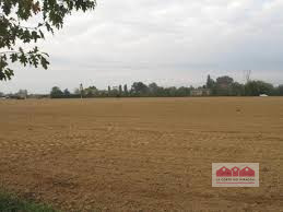 VESCOVANA: INTROVABILE TERRENO EDIFICABILE URBANIZZATO E PRONTO PER ACCOGLIERE UNA NUOVA COSTRUZI...