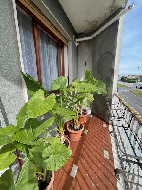 PADOVA -LIMENA vendesi in zona centrale e comoda a tutti i servizi principali, grazioso appartame...