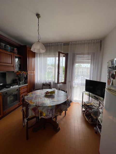 PADOVA -LIMENA vendesi in zona centrale e comoda a tutti i servizi principali, grazioso appartame...