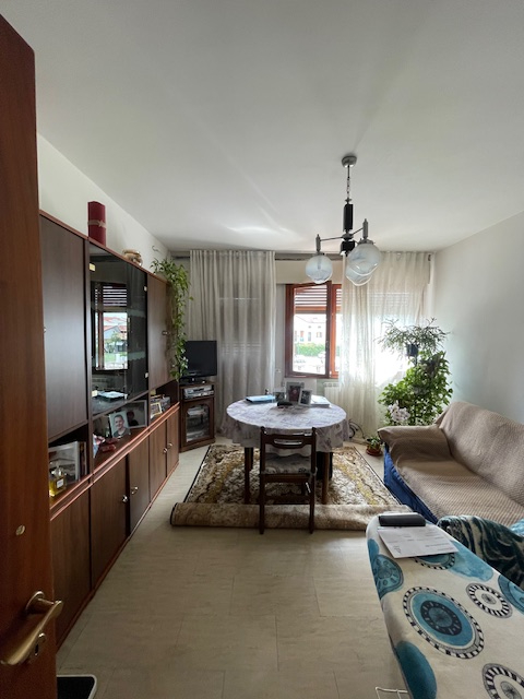 PADOVA -LIMENA vendesi in zona centrale e comoda a tutti i servizi principali, grazioso appartame...