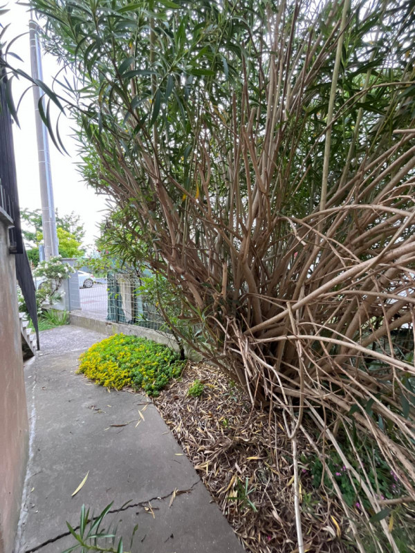 In una delle zone più tranquille e verdi di Ponte di Barbarano, proponiamo in vendita una spazios...