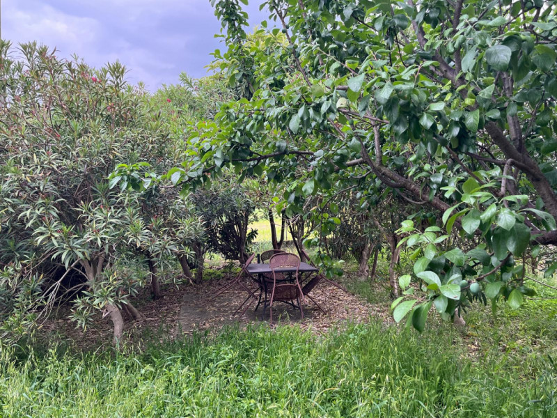 In una delle zone più tranquille e verdi di Ponte di Barbarano, proponiamo in vendita una spazios...