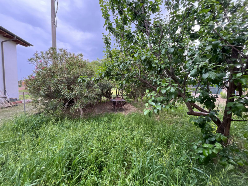 In una delle zone più tranquille e verdi di Ponte di Barbarano, proponiamo in vendita una spazios...