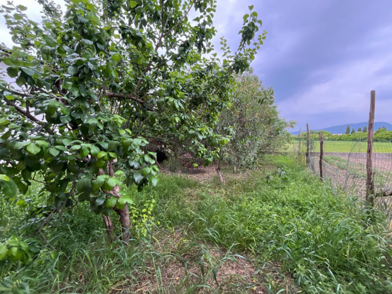 In una delle zone più tranquille e verdi di Ponte di Barbarano, proponiamo in vendita una spazios...