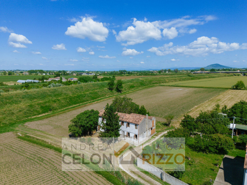 Tra le campagne silenziose di Prà D’Este, dove la natura scandisce ancora i ritmi della giornata,...