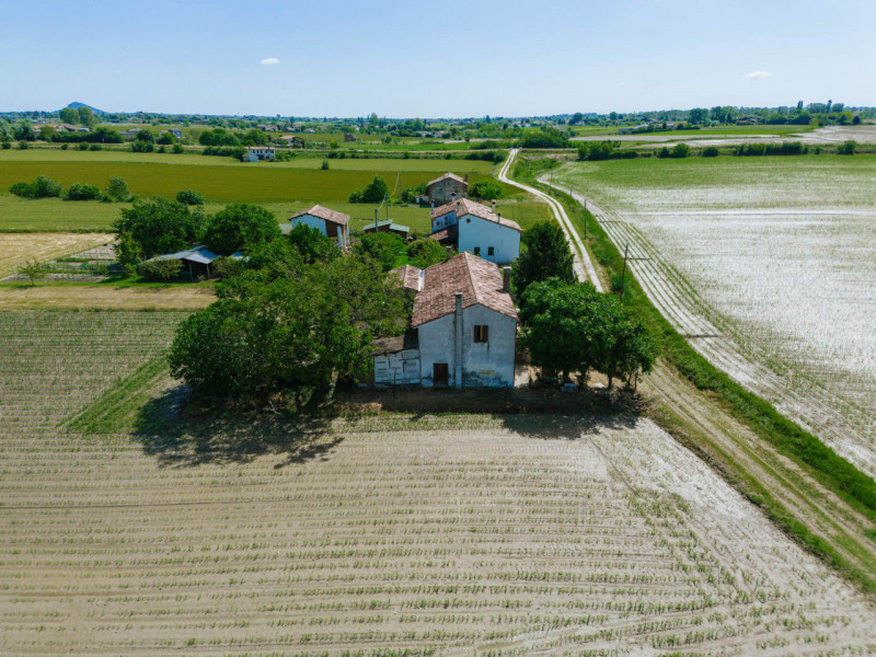 Tra le campagne silenziose di Prà D’Este, dove la natura scandisce ancora i ritmi della giornata,...