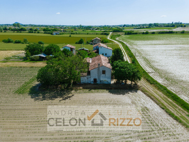 Tra le campagne silenziose di Prà D’Este, dove la natura scandisce ancora i ritmi della giornata,...