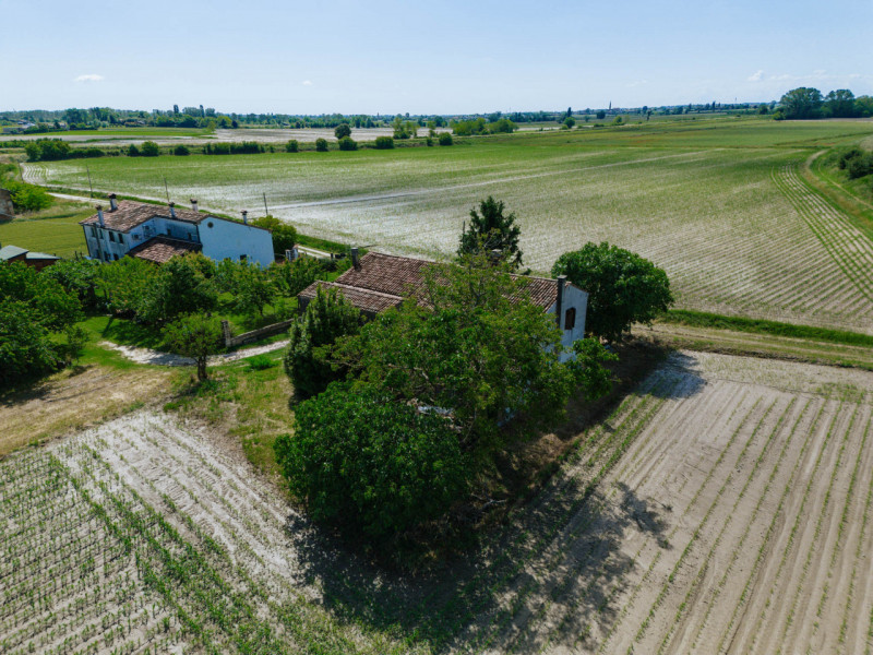 Tra le campagne silenziose di Prà D’Este, dove la natura scandisce ancora i ritmi della giornata,...