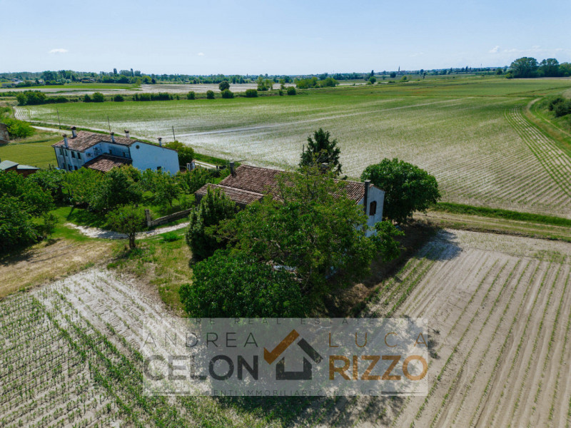 Tra le campagne silenziose di Prà D’Este, dove la natura scandisce ancora i ritmi della giornata,...