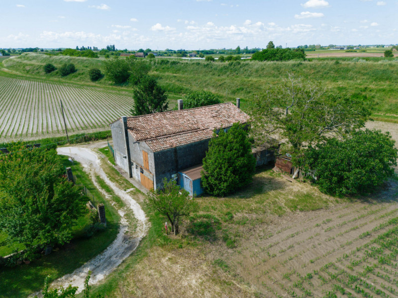 Tra le campagne silenziose di Prà D’Este, dove la natura scandisce ancora i ritmi della giornata,...