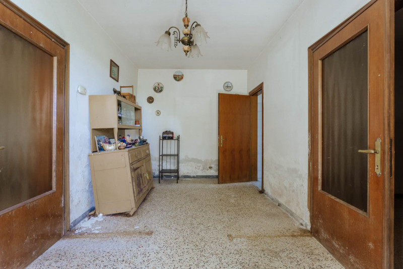 Tra le campagne silenziose di Prà D’Este, dove la natura scandisce ancora i ritmi della giornata,...