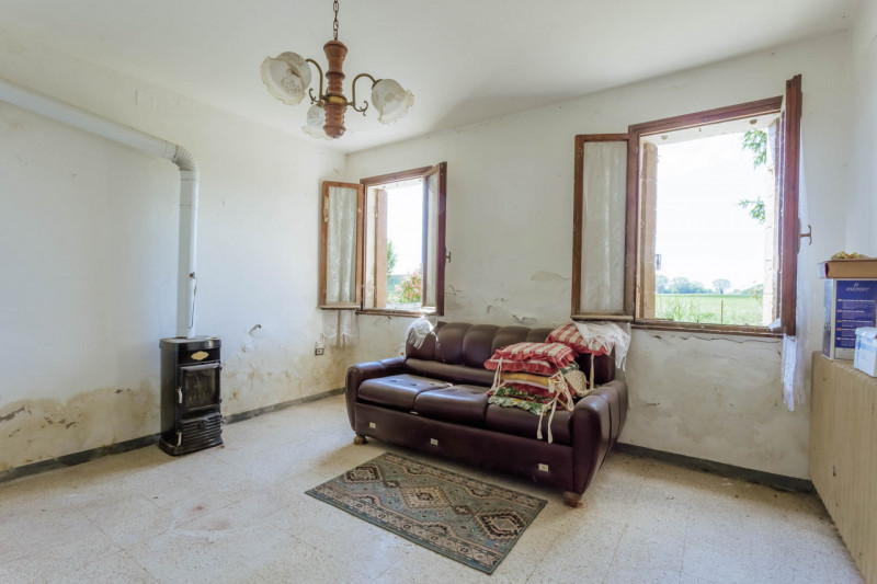 Tra le campagne silenziose di Prà D’Este, dove la natura scandisce ancora i ritmi della giornata,...