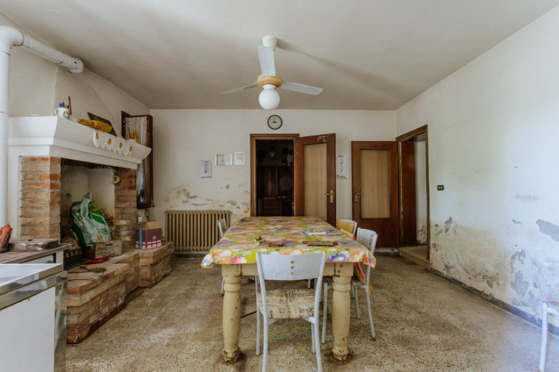 Tra le campagne silenziose di Prà D’Este, dove la natura scandisce ancora i ritmi della giornata,...