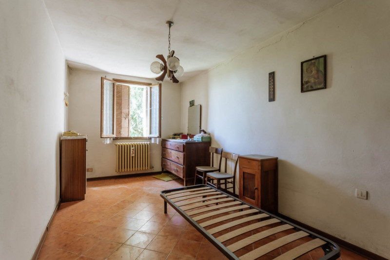 Tra le campagne silenziose di Prà D’Este, dove la natura scandisce ancora i ritmi della giornata,...