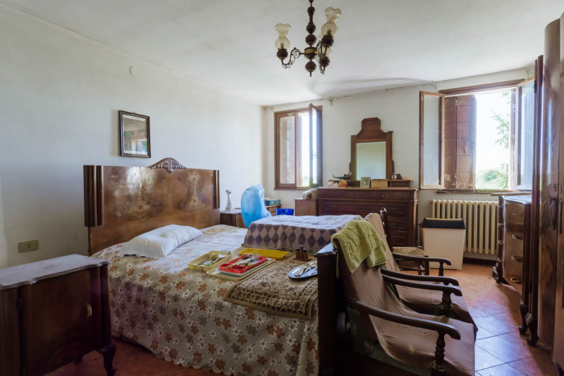 Tra le campagne silenziose di Prà D’Este, dove la natura scandisce ancora i ritmi della giornata,...