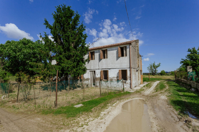Tra le campagne silenziose di Prà D’Este, dove la natura scandisce ancora i ritmi della giornata,...