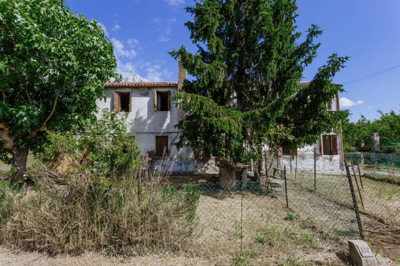 Tra le campagne silenziose di Prà D’Este, dove la natura scandisce ancora i ritmi della giornata,...
