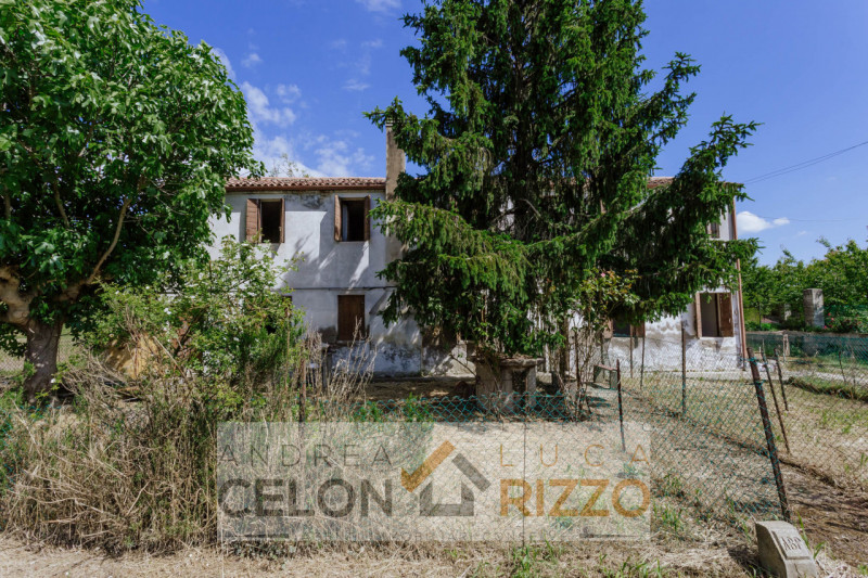 Tra le campagne silenziose di Prà D’Este, dove la natura scandisce ancora i ritmi della giornata,...