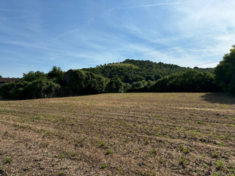 Vendesi casa singola da ristrutturare con giardino ad Arquà Petrarca, perla dei colli Euganei ed ...