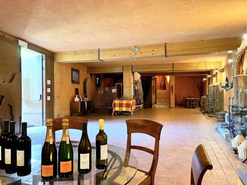 CINTO EUGANEO - Faedo: proponiamo in vendita un incantevole agriturismo situato nella pittoresca ...