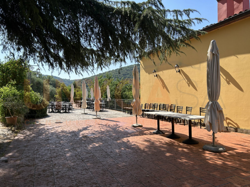 CINTO EUGANEO - Faedo: proponiamo in vendita un incantevole agriturismo situato nella pittoresca ...