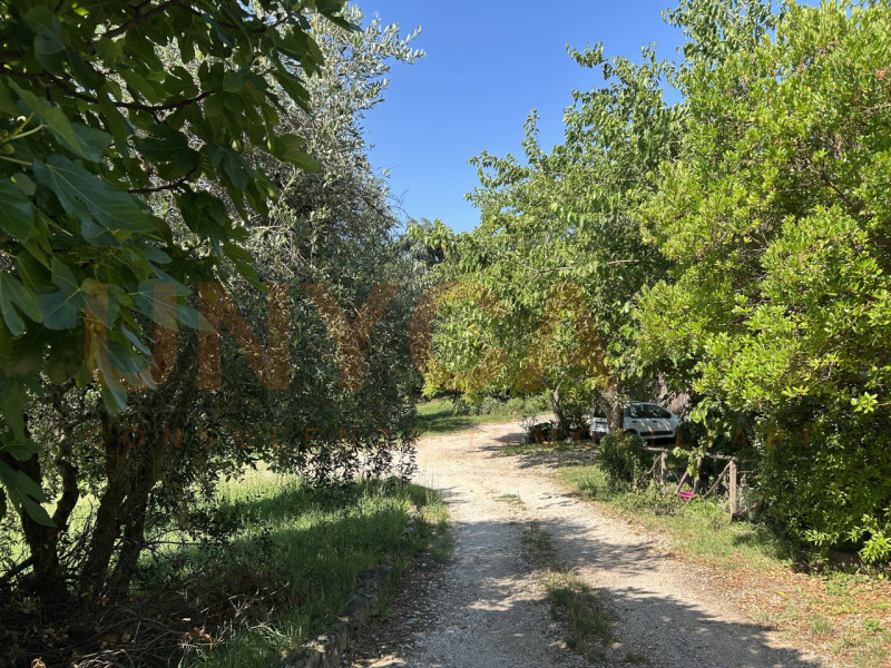 CINTO EUGANEO - Faedo: proponiamo in vendita un incantevole agriturismo situato nella pittoresca ...