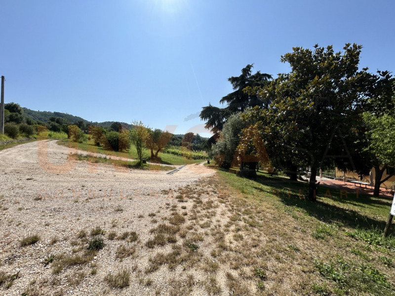 CINTO EUGANEO - Faedo: proponiamo in vendita un incantevole agriturismo situato nella pittoresca ...