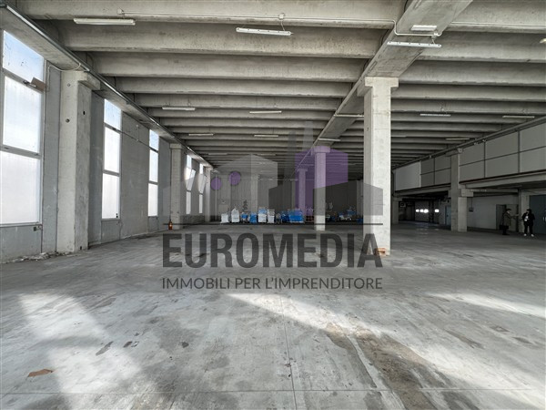 COLOGNOLA AI COLLI: Rif. 1536 - ANTONIO - Per info 338.4892021 – EUROMEDIA propone in zona produt...