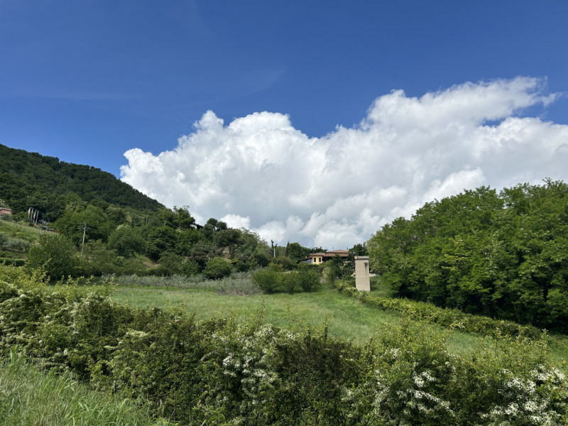 Una residenza immersa nella quiete dei Colli Euganei – spazio, natura e privacy in un contesto un...