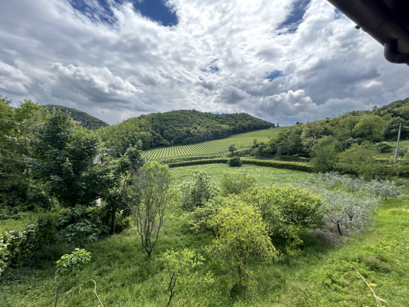 Una residenza immersa nella quiete dei Colli Euganei – spazio, natura e privacy in un contesto un...
