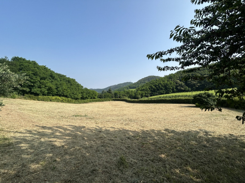 Una residenza immersa nella quiete dei Colli Euganei – spazio, natura e privacy in un contesto un...