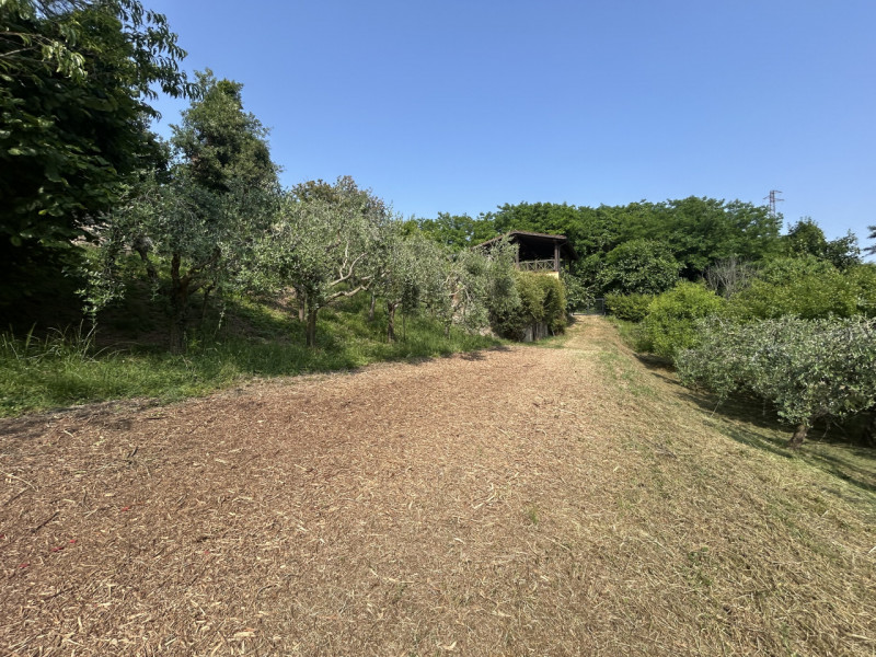 Una residenza immersa nella quiete dei Colli Euganei – spazio, natura e privacy in un contesto un...