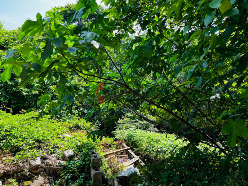 Metro Immobiliare propone in vendita una casa rurale da ristrutturare completamente, ideale per c...