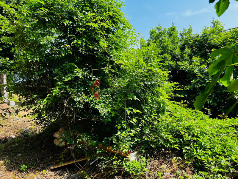 Metro Immobiliare propone in vendita una casa rurale da ristrutturare completamente, ideale per c...