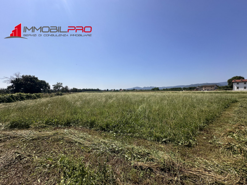 Immersa nel verde ma a pochi minuti dai servizi principali, questa ampia casa di campagna rappres...