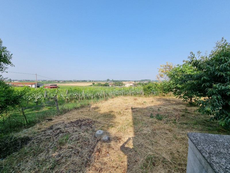 Vo' (PD), frazione di Vo' Vecchio lungo Via Nina sull'unica collinetta che si alza dai terreni ag...