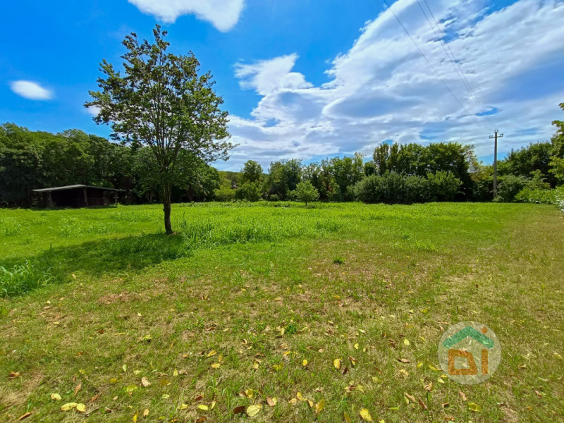 Terreni agricoli in Vendita a Gonars