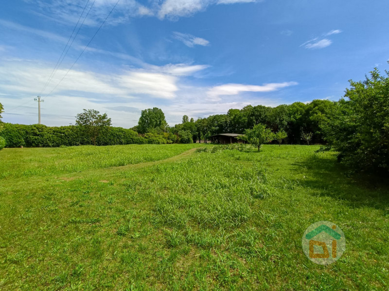 Terreni agricoli in Vendita a Gonars