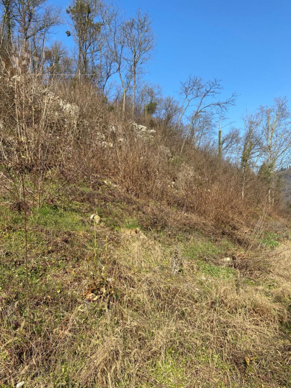 Nel cuore del suggestivo Comune di Arcugnano, proponiamo  rustico di campagna da ristrutturare co...