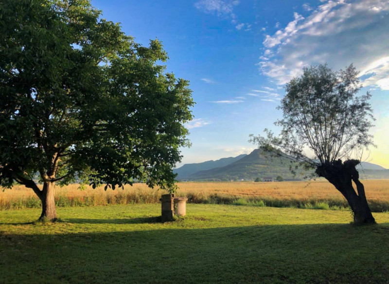 (Per INFO Vittorio 3517343301) Stai cercando un luogo dove vivere immerso nella bellezza dei Coll...