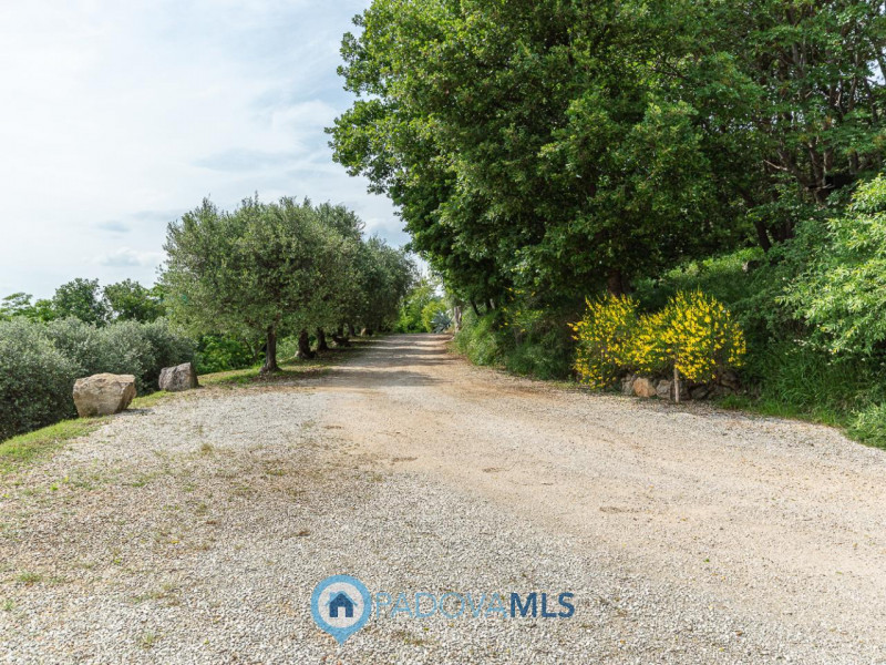 Immobile in esclusiva al Gruppo Padova MLS

Arquà Petrarca –

Immerso nel verde e affacciato su u...