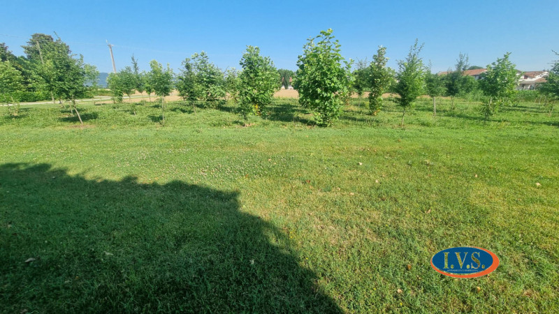 MONTEGALDELLA- Se stai cercando un luogo dove rilassarti e rigenerarti dopo una lunga giornata di...
