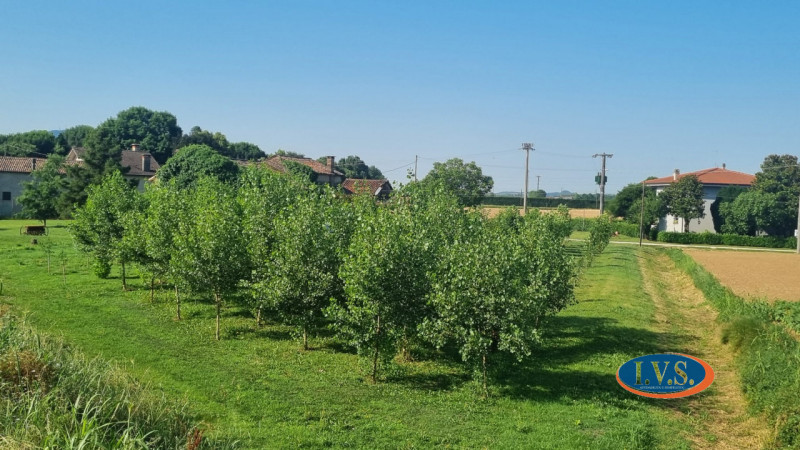 MONTEGALDELLA- Se stai cercando un luogo dove rilassarti e rigenerarti dopo una lunga giornata di...