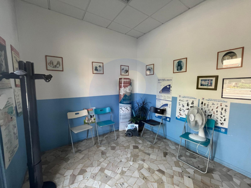 Vicenza Vendita Negozio