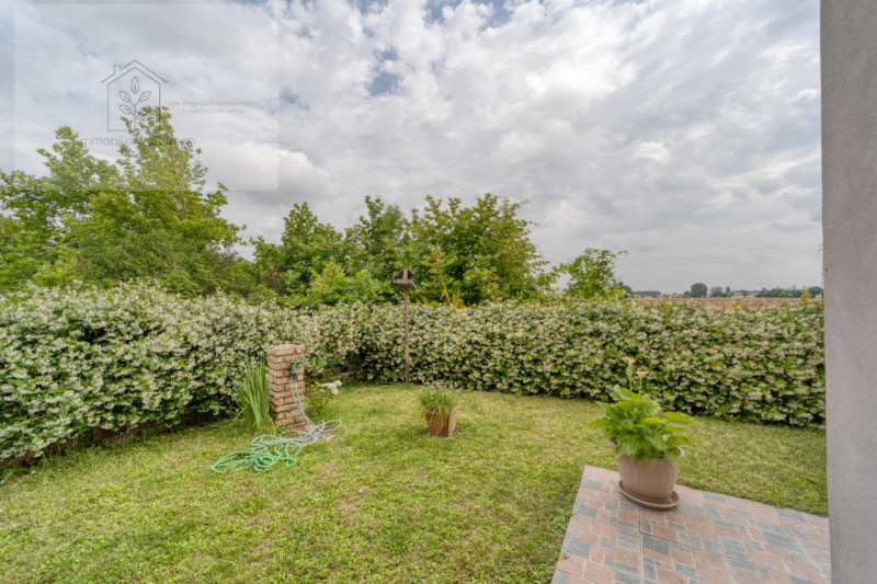 Scopri questo affascinante appartamento situato nel cuore di Arlesega, una zona tranquilla e resi...