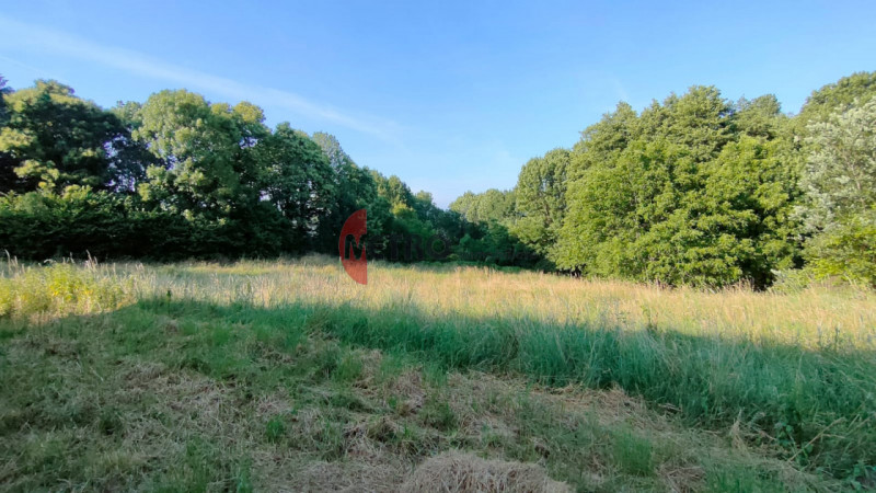 Situato nel cuore della tranquillità di Brogliano, precisamente nella frazione affascinante di Qu...