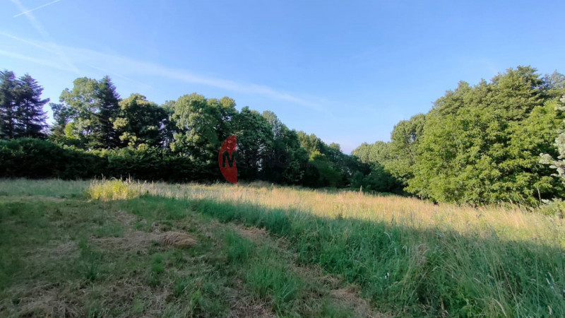 Situato nel cuore della tranquillità di Brogliano, precisamente nella frazione affascinante di Qu...