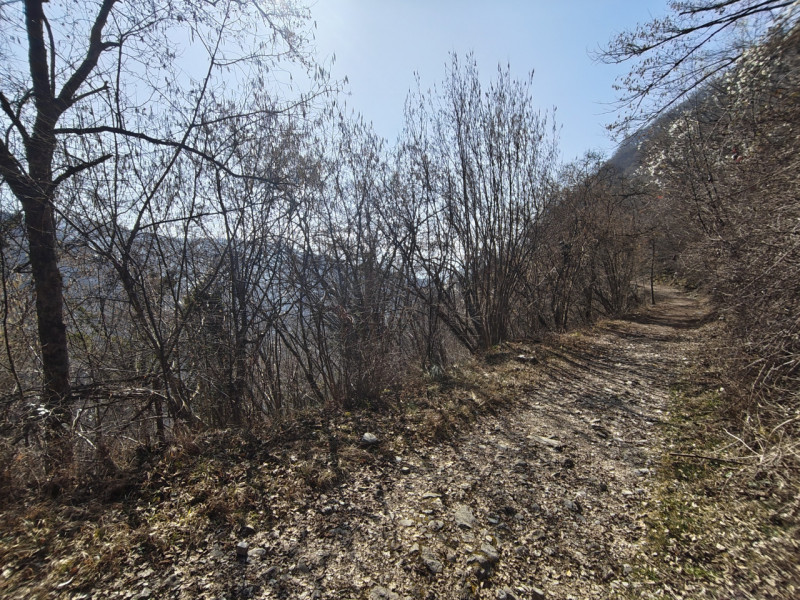 Proponiamo a Belluno un'ampia proprietà di 618 Ettari a destinazione prevalentemente boschiva sud...