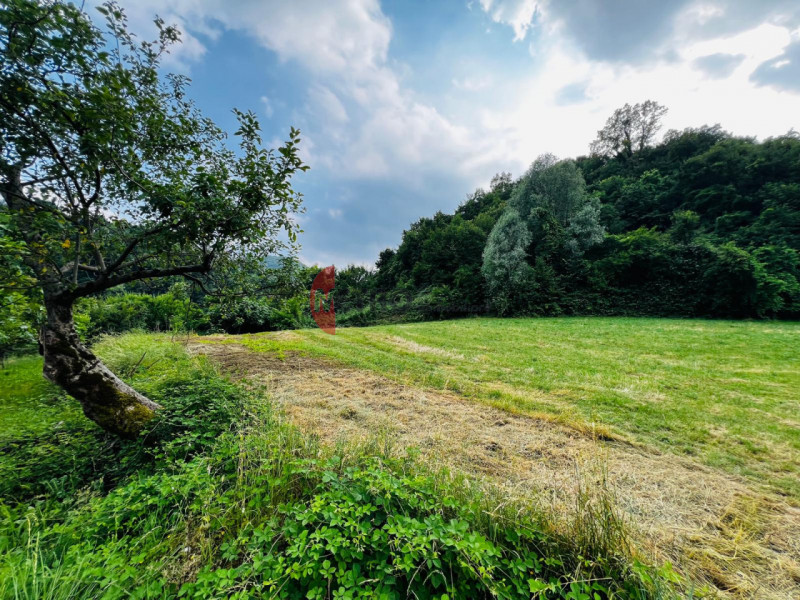 Metro Immobiliare propone in esclusiva un’interessante soluzione abitativa da ristrutturare, prec...