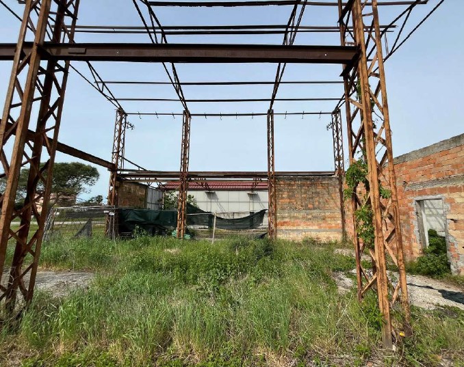 immagine annuncio 2 di 4